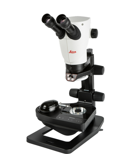 OUROALGARVE BARRA LINGOTE GOLD BAR COIN MOEDA LIBRA